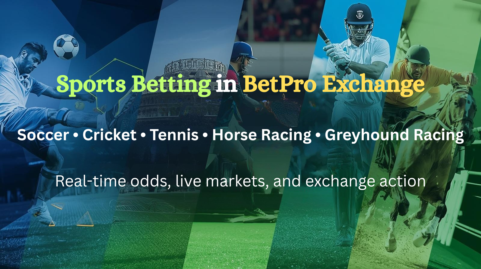 Sports Betting in BetPro Exchange